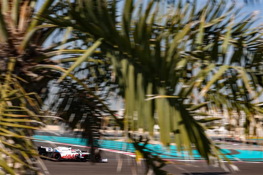 Palm tree and f1 car